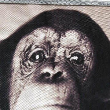 ОРГАНИЗАТОР ИГРУШЕЧНОЙ КОРОБКИ КОНТЕЙНЕР ДЛЯ МАТЕРИАЛА