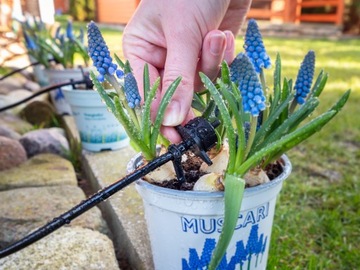 Kaltmann ЦИФРОВЫЕ ЧАСЫ + Ирригация Ирригационный комплект Ирригационная система