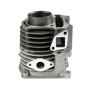 Самый большой ремкомплект двигателя 139QMB 80см3 китайских скутеров LUX 4T