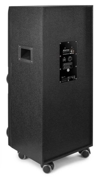 Колонка ACTIVE 2х10