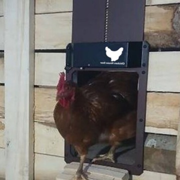 БЕСПРОВОДНАЯ АВТОМАТИЧЕСКАЯ ДВЕРЬ В КУРИТНИК ДВЕРЬ КУРИНЫЙ СОВЕТ ДАТЧИК СВЕТА
