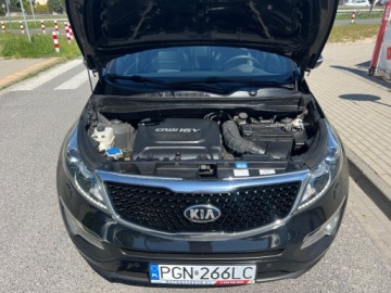Kia Sportage III SUV Facelifting 2.0 CRDi 184KM 2015 Kia Sportage 4X4 AUTOMAT SKORY NAWIGACJA PANORAMA KAMERA GRZANE FOTELE KIE, zdjęcie 32