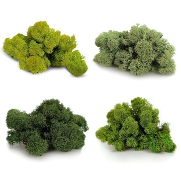 НОРВЕЖСКИЙ Олений мох зеленый 500г ДЕКОРАТИВНЫЙ яркий ДЕКОРАТИВНЫЙ