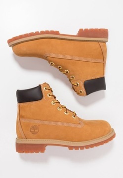 Timberland 6 Inch TB0129097131 36