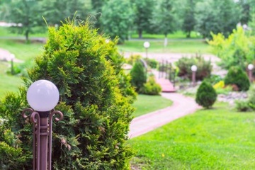 ZIEMIA PODŁOŻE DO BORÓWKI ROŚLIN KWAŚNOLUBNYCH 50L