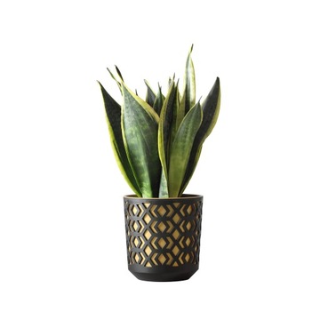 Donica Lamela AZTEK śr. 30cm kol. CZARNY + ZŁOTY