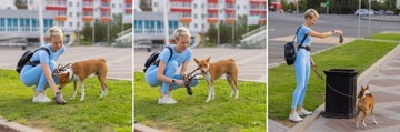 СУМКИ ДЛЯ ИСПРАВЛЕНИЯ СОБАК, КАМАШКИ, НАБОР 500 ШТ.