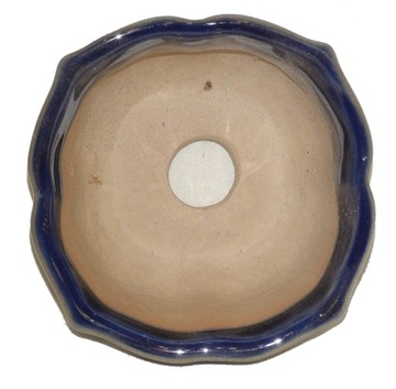 DONICZKA NA BONSAI Z PODSTAWKĄ