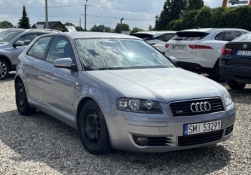 Audi A3 8P Hatchback 3d 1.6 102KM 2004 Audi A3 3-drzwiowe 2004r. 1.6 Benzyna 102KM, zdjęcie 8