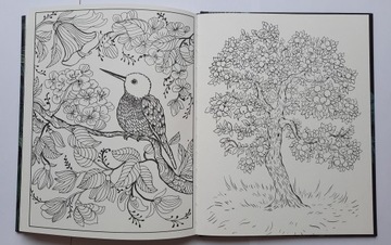 Antystresowe ekskluzywne kolorowanki dla dorosłych