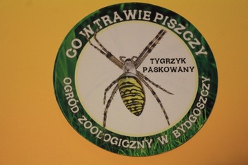 NAKLEJKA-PAMIĄTKA-Z00 BYDGOSZCZ - TYGRZYK