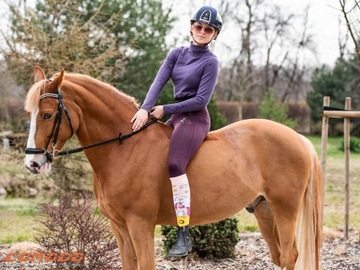 Носки для верховой езды SJBW UNICORN, 80% хлопок.