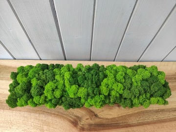 Деревянный цветочный горшок с мхом CHERRY MOSS в длинном горшке 40 см декор