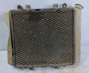 Kawasaki KVF 750 KVF750 BRUTEFORCE - COOLER