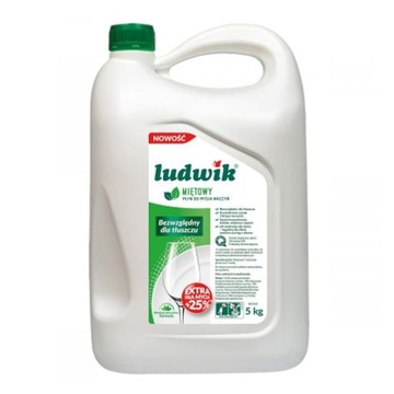 LUDWIK PLYN DO NACZYN 5L MIETA