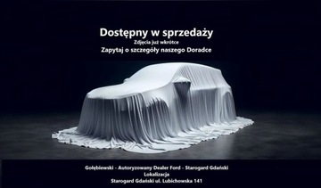 Ford Edge II SUV Facelifting 2.0 EcoBlue Bi-Turbo 238KM 2019 Ford Edge Auto z gwarancja, drugi komplet kol zimowych na felgach, HAK