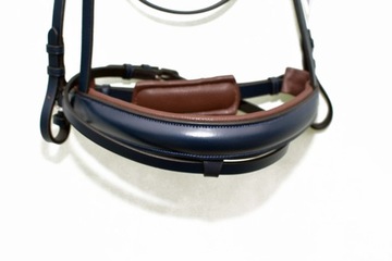 Профилированная анатомическая команда полна