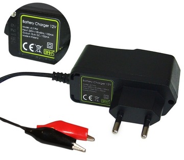 Ładowarka prostownik 12V akumulator żelowy AGM 10