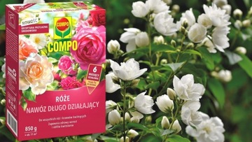 УДОБРЕНИЕ ДЛИТЕЛЬНОГО ДЕЙСТВИЯ ДЛЯ РОЗ, ГИДРЕНСОВ, ПИОНОВ, МАГНОЛИИ 850г КОМПО