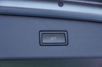 Volkswagen Tiguan II SUV 1.5 TSI EVO 150KM 2019 Volkswagen Tiguan 1.5 Benzyna 150 KM, Navi, Kamera, LED, Salon PL, FV23, G, zdjęcie 32