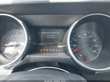 Ford Mustang VI Fastback Facelifting 5.0 Ti-VCT 450KM 2022 Ford Mustang GT Premium Fastback 2022 5.0l 5.0 Benzyna 450KM, zdjęcie 10