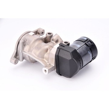 DELPHI EG10396-12B1 Клапан ОГ
