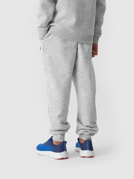 4F СПОРТИВНЫЕ БРЮКИ 4FJWMM00TTROM0811-27M-152