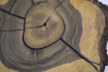 Штукатурка смоляная заливочная 40х45Гр7,5 Орех