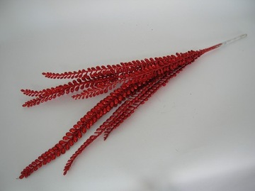 ДЕКОРАТИВНЫЙ КРАСНЫЙ ТРАВЯНОЙ БЛЕСК