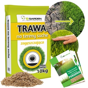 TRAWA NA TERENY SUCHE ODPORNA NA SUSZĘ 10 KG 400M2