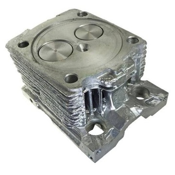 ГОЛОВКА ДВИГАТЕЛЯ T-25 ВЛАДИМИРЕЦ В КОМПЛЕКТЕ С КЛАПАНАМИ СТАРОГО ТИПА ПОЛЬША