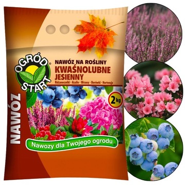 JESIENNY NAWÓZ DO BORÓWEK HORTENSJI WRZOSÓW RODODENDRONÓW AZALI MAGNOLI 2KG