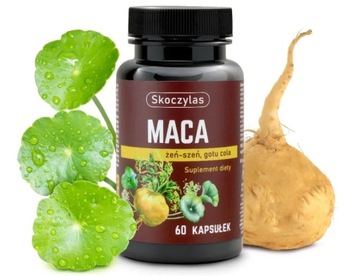 MACA ŻEŃ-SZEŃ GOTU COLA 60 KAPS SKOCZYLAS