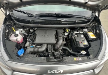 Kia Picanto III Hatchback 5d Facelifting 1.0 DPI 67KM 2024 Kia Picanto Benzyna 67KM, zdjęcie 18