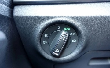 Skoda Kamiq Crossover 1.0 TSI 115KM 2019 Skoda Kamiq 1.0TSI 116KM DSG Automat Super stan Full LED Duzy tablet 116KM, zdjęcie 29