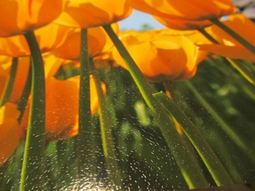 МАТОВАЯ ФОТОБУМАГА 10х15 128г 50 листов