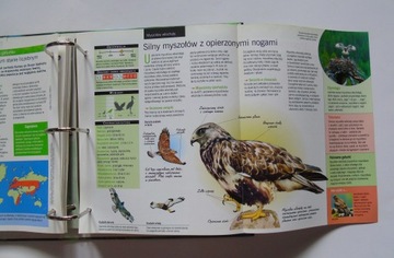 PTAKI POLSKI Издания Атлас