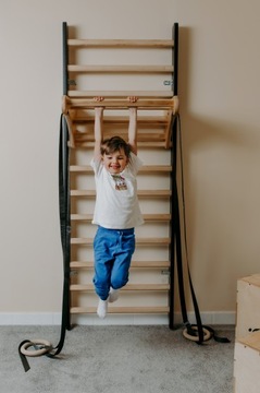 Набор гимнастической лестницы One Line 240x80