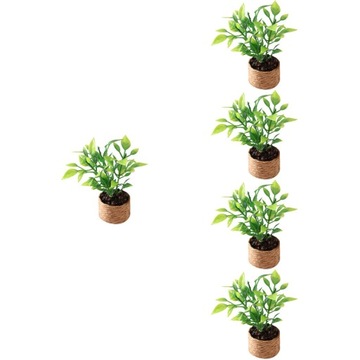 Miniaturowe Bonsai Mini Drzewko Pomarańczowe 5 szt