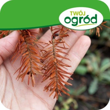 Удобрение для хвойных растений против побурения хвои 1кг CONIFERS TUJE Гранулированное