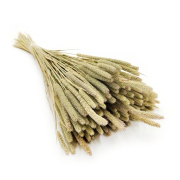 Tymotka Naturalna Suszona suszki duży bukiet 80g