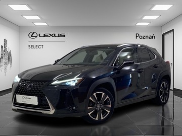 Lexus UX Crossover 250h 184KM 2019 Lexus UX 250h Prestige AWD Lexus UX 2.0 Prestige+P