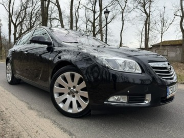 Opel Insignia I Hatchback 2.0 CDTI ECOTEC 160KM 2010 Opel Insignia Cosmo 2.0 CDTI 160KM Navi Alu 19'', zdjęcie 12