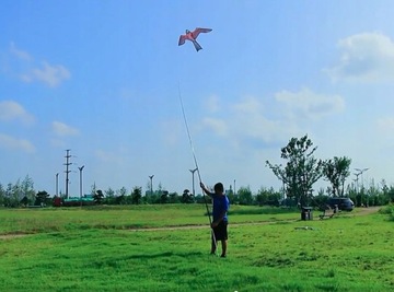 Отпугиватель птиц скворцов EAGLE KITE + FLAG MAST 6м - ПРЕМИУМ