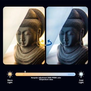 Заполняющий свет RGB 5009C для фотографии