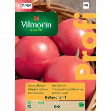 NASIONA POMIDOR SZKLARNIOWY BELLADONA F1 8SZT PROFESJONALNY OWOC DO 250G