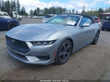 Ford Mustang VI 2024 Ford Mustang 2024 2.3l 2.3 Benzyna 315KM, zdjęcie 6