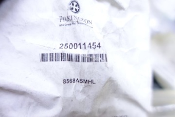 УПЛОТНИТЕЛЬ ОКНА L VW GOLF V 5 250011454