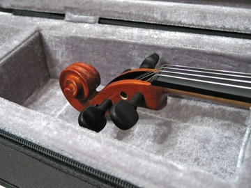 Когда-нибудь играл на скрипке EV-614A, 1/10