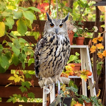 Подвесные колокольчики в виде совы, поделки для отпугивания птиц